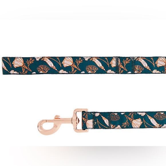 Top Paw® Teal Floral Dog Leash: 6-ft long, 1-in wide